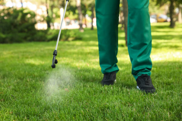 Best Best Pest Control Companies  in Marysville, PA