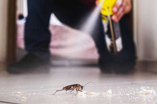 Best Mosquito Control Services  in Marysville, PA