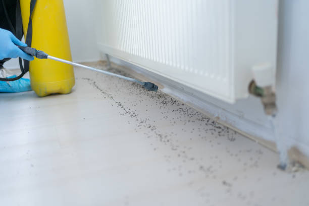 Best Pest Removal Services  in Marysville, PA
