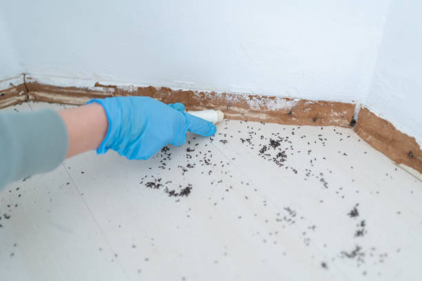 Best Cockroach Control Services  in Marysville, PA