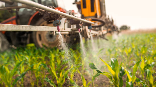 Professional Pest Control in Marysville, PA