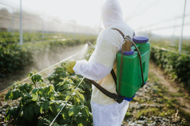 Best Ant Control Services  in Marysville, PA